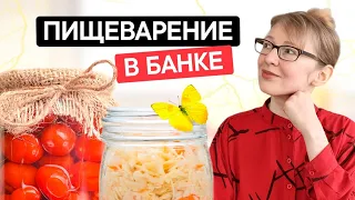 Какие продукты содержат больше ферментов. Как сырая еда помогает пищеварению.