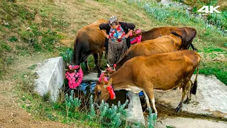 Kadırga'dan Göç - 50 Yıllık Yayla Aşkı | Belgesel