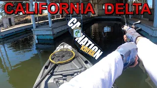 CHATTERBAITS Catch BIG BASS on the California Delta