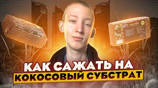 Как сажать микрозелень на кокосовый субстрат?! Подготовка субстрата к посеву!