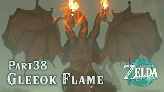 [2K 60fps] Zelda TOTK Detailed Walkthrough - Part 38 Flame Gleeok at Bridge of Hylia (Fire Dragon)