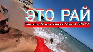 Египет 🇪🇬Sheraton Sharm Resort Villas & SPA 5* Заход в море подводный мир/Питание в отеле Анимация