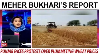 Farmer's Fury: Punjab Faces Protests Over Plummeting Wheat Prices | Meher Bukhari's Report