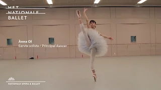 New Dancers: season 2015 - 2016  - Het Nationale Ballet | Dutch National Ballet