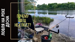 Ловля на реке Десна.  Почему лещ не клюёт