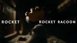 Rocket || Rocket Racoon