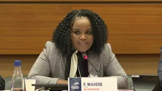 Advocate Mahere speaks at the UN