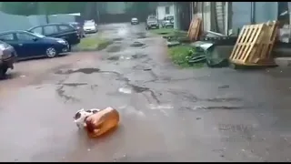 Two-liter explodes and stuns dog Half-life SFX