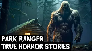 12 TRUE Disturbing Park Ranger Horror Stories Told In The Rain (Dogman,Sasquatch,Wendigo...)
