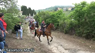 San Fratello (ME) - Festa dei tre santi - 2023