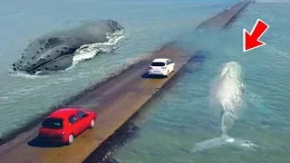 A Road You Never Want To Drive On! France, Le Passage du Gois