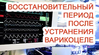 Восстановительный период после устранения варикоцеле / Доктор Черепанов