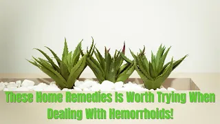 These Home Remedies Is Worth Trying When Dealing With Hemorrhoids! #shorts