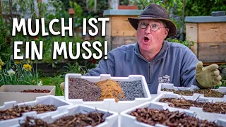 Darum ist Mulch im Garten unverzichtbar! 🍂 - Tipps & Tricks zum Mulchen