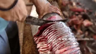 Amazing Big Fish Cutting | Perfect  King Fish Cutting | Fish Fillet | Fish Slicing