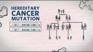 What Is Hereditary Cancer? What Is A Hereditary Cancer Mutation | Genetics 101 | Ambry Genetics