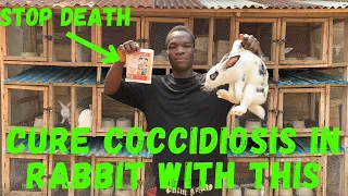 How to cure rabbit coccidiosis || use this stop death in rabbit