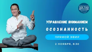 Осознанность и управление вниманием | Прямой эфир + медитация | Ян Тиан