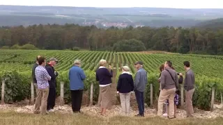 Private Champagne Tasting at the Maison Alexandre Bonnet in Les Riceys