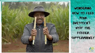 Supermarket for animal fodder, a one stop shop for  dairy farmers.