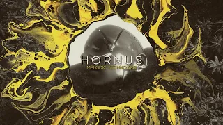 Melodic Techno 2022 #029 - Hornus
