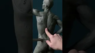 Sculpting the Back Muscles:  Free excerpt from 20 min Patreon Video!