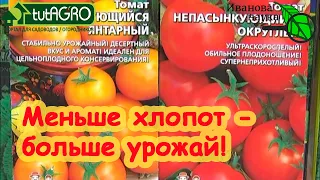 ТОМАТЫ "ПОСАДИЛ и ЗАБЫЛ". Как выбрать семена ленивых томатов. Низкие кустовые без пасынкования.