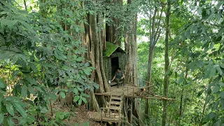 Building Shelter Under A Thousand-Year-Old Tree/Eat Cassava/Sleep Overnight- Mountain Lifes Alone #5