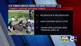 USDA Forest Service is hiring recreation and archaeologist positions