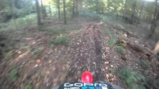 GOPRO trail riding crf230  and yamaha blaster  2