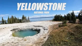 Visiting Yellowstone National Park - My First Time!