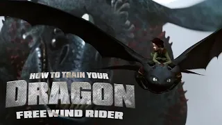 How to Train Your Dragon - Freewind Rider