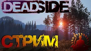 ОБЗОРНОЕ ВЫЖИВАНИЕ ➤DEADSIDE | Ранний доступ ➤ Стрим #1