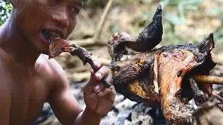 Primitive Technology, Make a trap to catch wild chicken for food