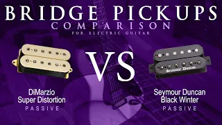 DiMarzio SUPER DISTORTION vs Seymour Duncan BLACK WINTER - Passive Bridge Guitar Pickup Comparison