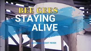 BEE GEES: STAYING ALIVE (TV SHOWS COMPARISON)