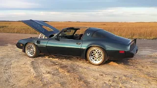 1979 Pontiac Trans AM, Pro-Touring, 535ci 725Hp Stock #C-0016