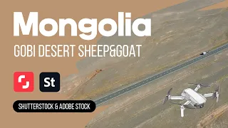 Mongolia Gobi Desert Sheep Lamb Drone 4K Sky nature 9