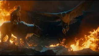 Bilbo Saves Thorin & The Great Eagles | The Hobbit 2012 - Last scene