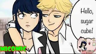 Unlucky Charm Part 1 Miraculous Ladybug Comic Dub