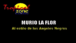 Karaoke Murio La Flor Angeles Negros.avi