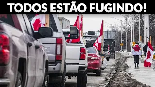 FIM DO CANADÁ: Por Que As Pessoas Estão Fugindo Do Canadá?