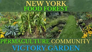 AMAZING New York Permaculture Community Garden Starting a Food Forest!