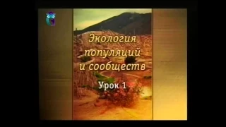 Урок 1. Популяции