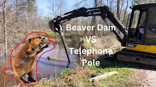 Beaver Dam Removal with Excavator and Telephone Pole - Genius Idea to Remove From Culvert - PART 2