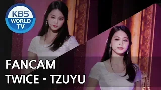 [FOCUSED]TWICE's Tzuyu - What is Love? [Music Bank / 2018.04.13]