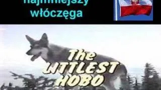 "Littlest Hobo" (Polish Version) (Język Polski)