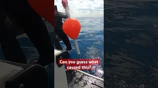 Scary scenario that almost drowned a Scuba Instructor 🤿🧐 #scubadiving #drowning