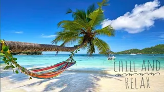 Relaxing Music and Tropical Beach Ambiance - Island Paradise 🌴🌊🏖️