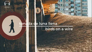 tonada de luna llena | birds on a wire